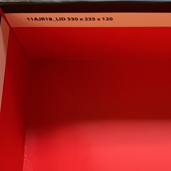 Air Jordan 4 Retro Motorsports - Picture 3 of 16